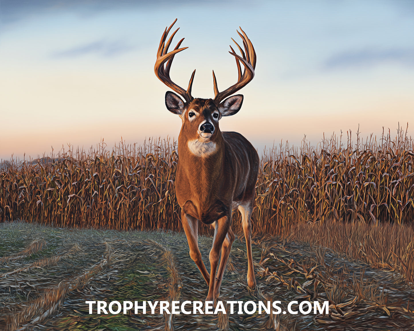 #15 Whitetail Deer