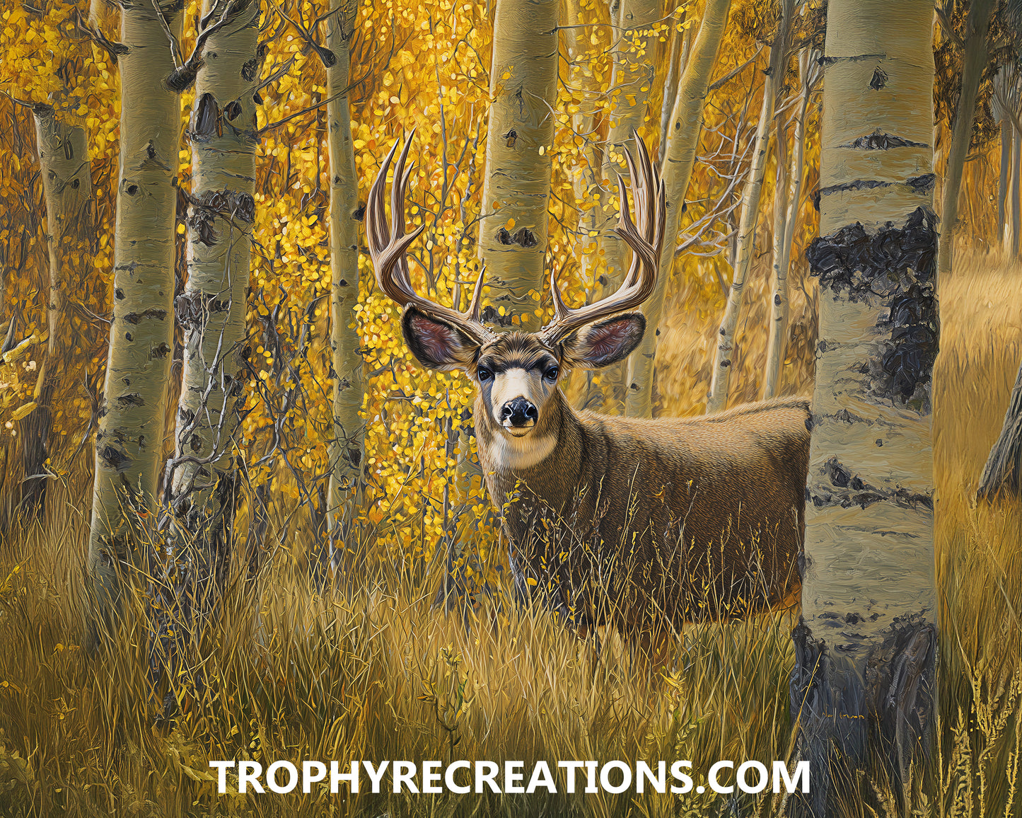#16 Mule Deer
