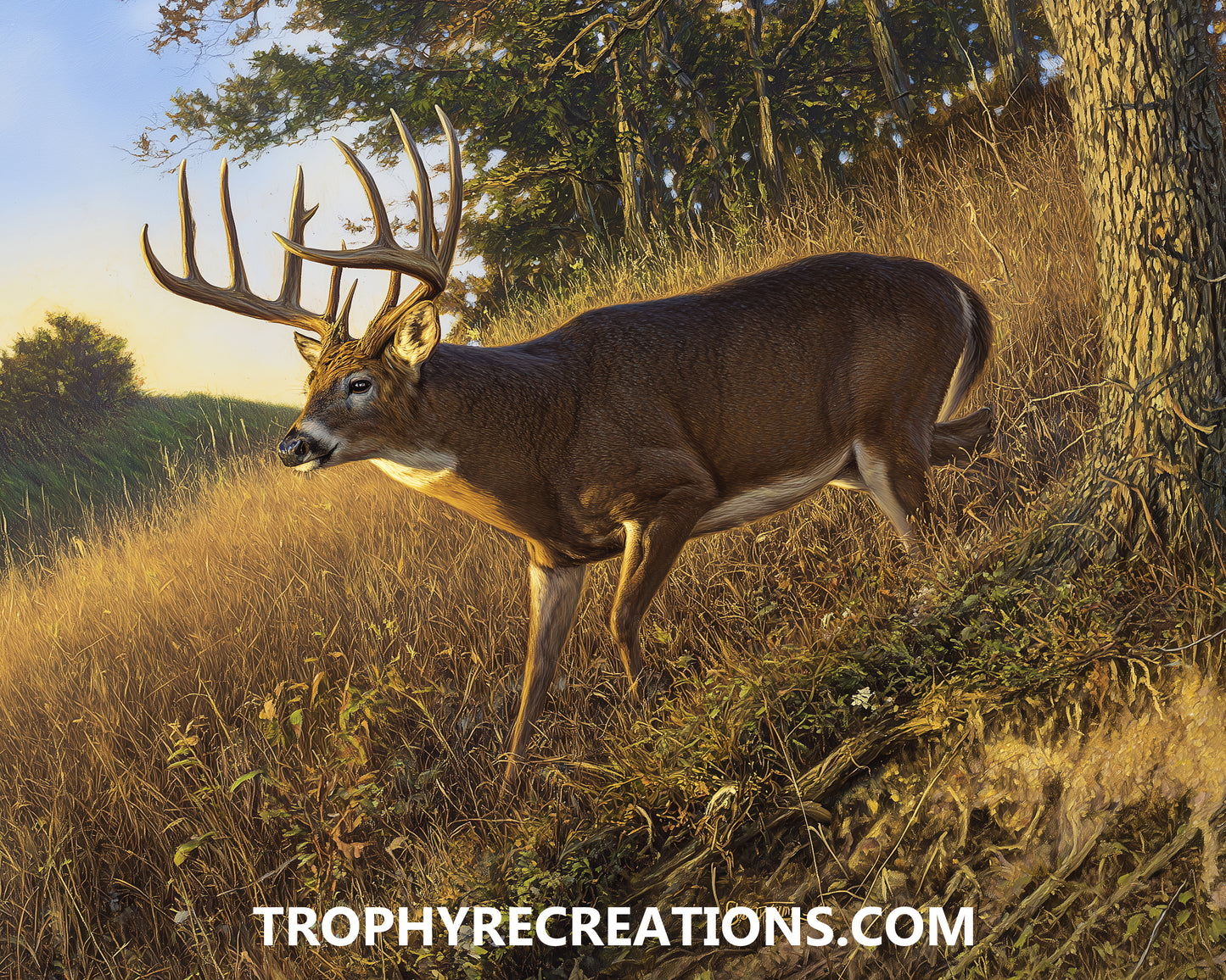 #17 Whitetail Deer