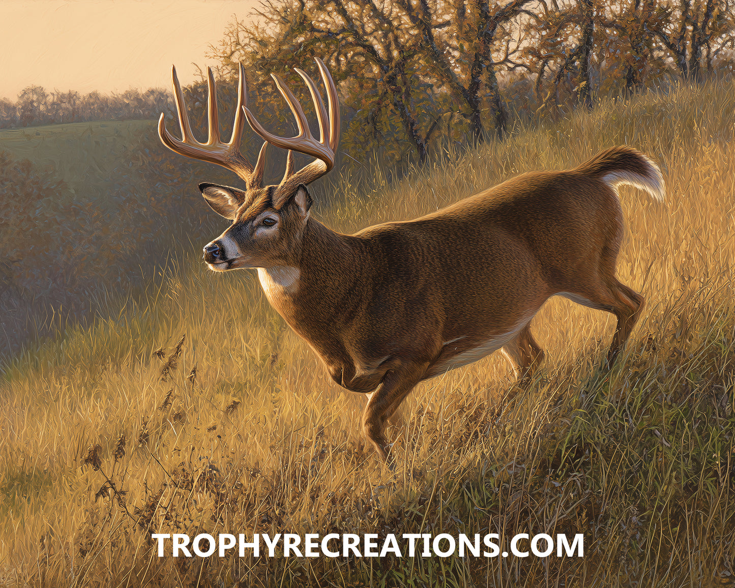 #26 Whitetail Deer
