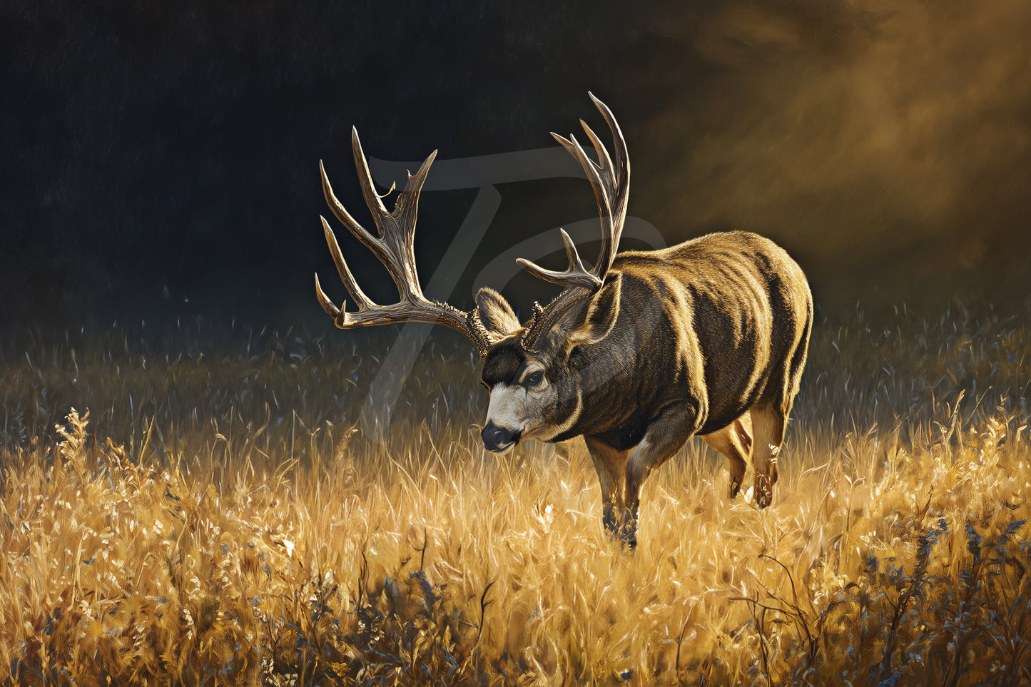 #44 Mule Deer