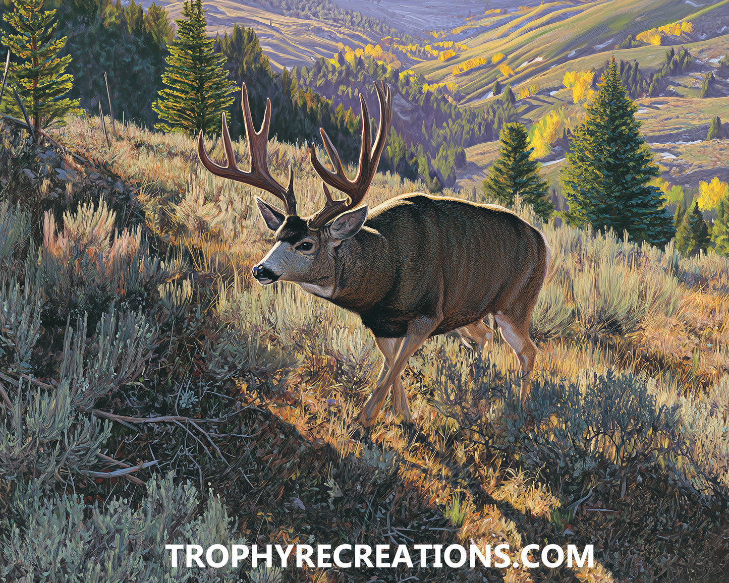 #6 Mule Deer