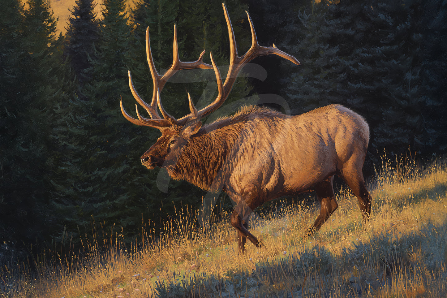 #8 Elk