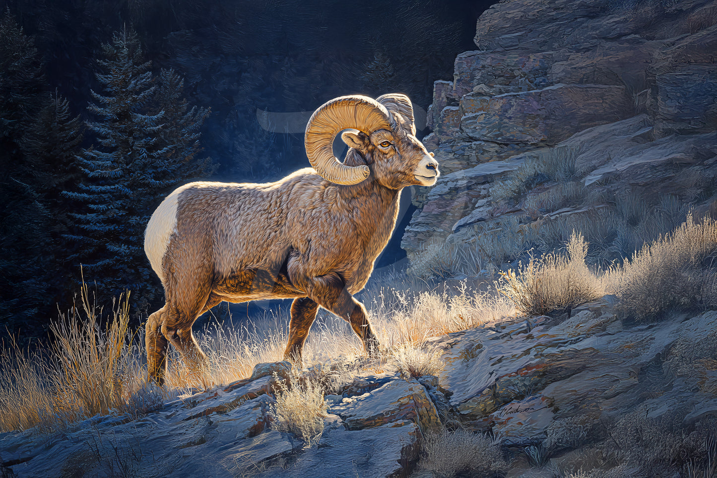 #9 Bighorn Sheep