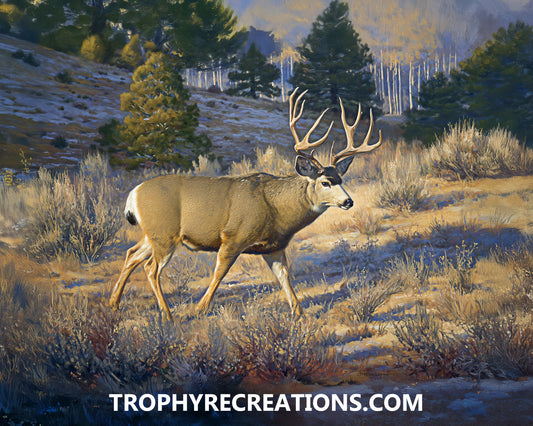 #12 Mule Deer
