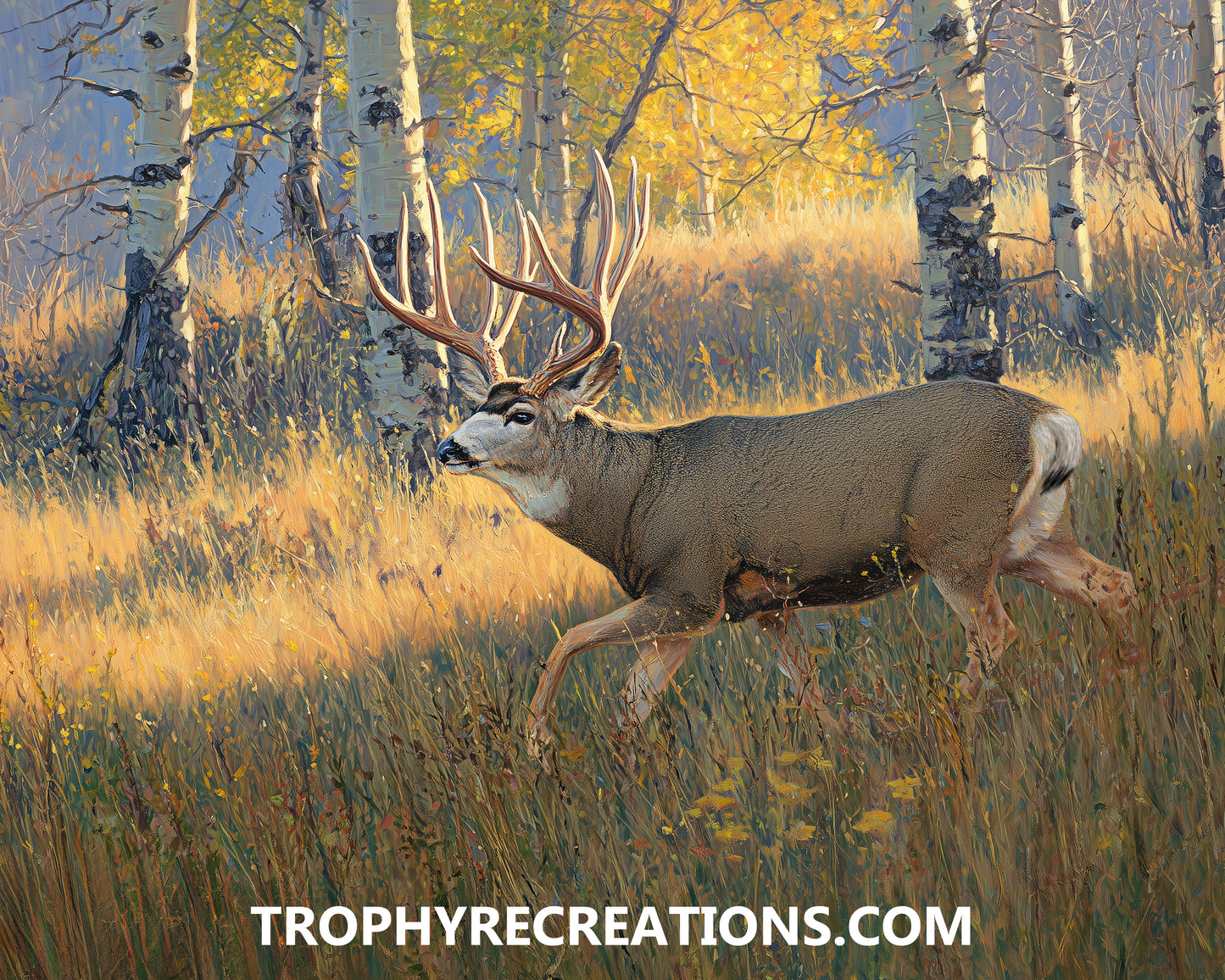 #15 Mule Deer