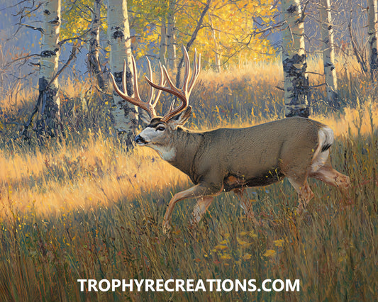 #15 Mule Deer