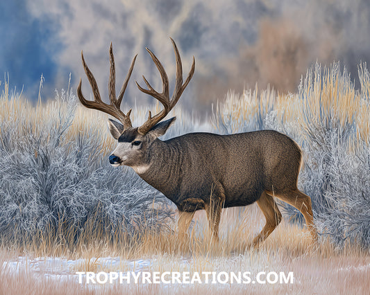 #18 Mule Deer