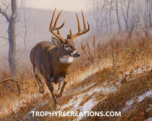 #21 Whitetail Deer