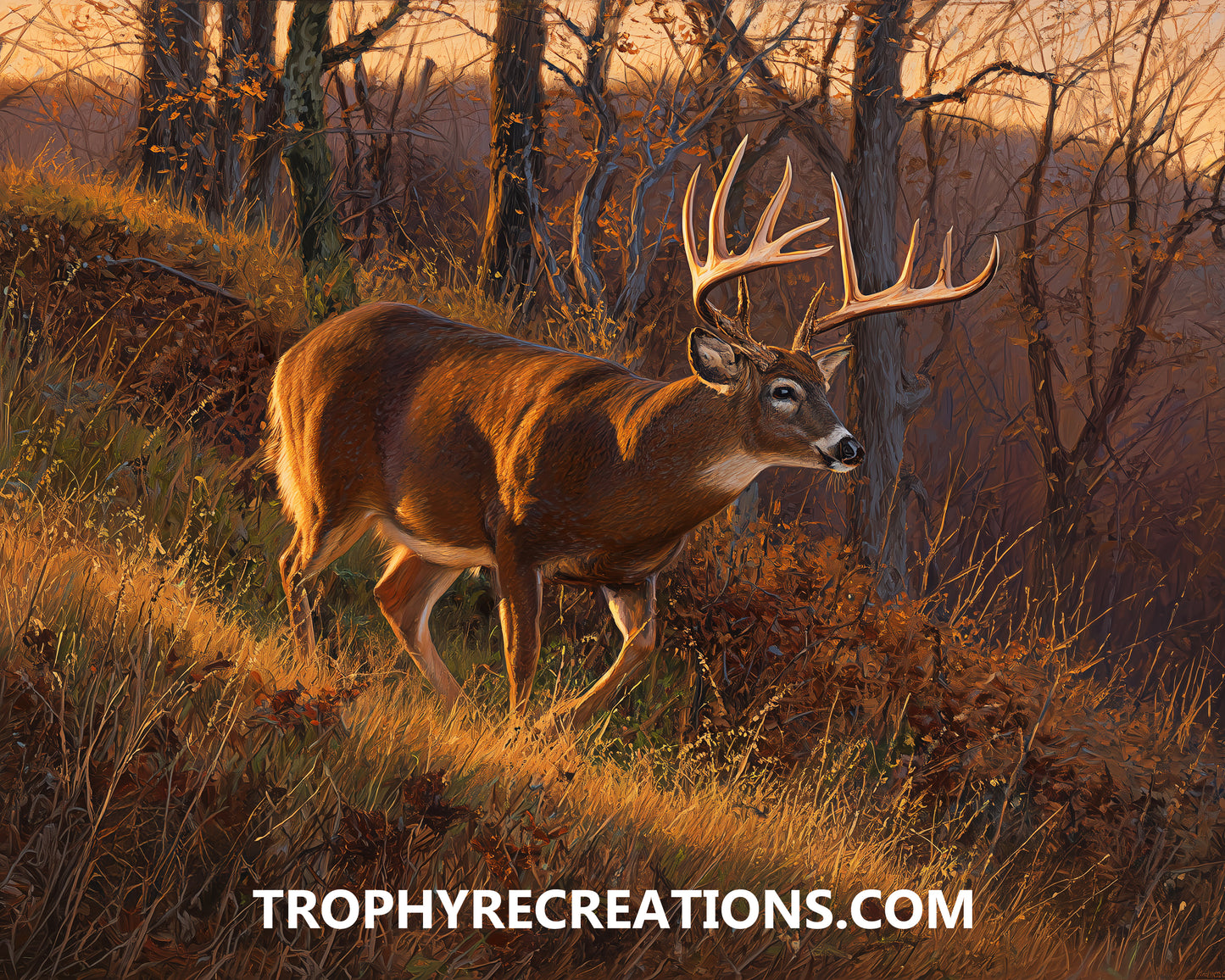 #22 Whitetail Deer