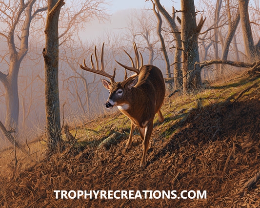 #25 Whitetail Deer