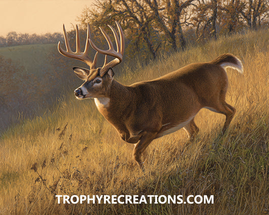 #26 Whitetail Deer