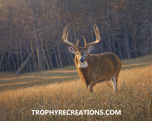 #36 Whitetail Deer