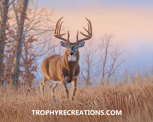 #39 Whitetail Deer