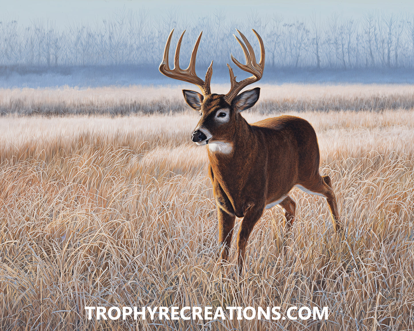 #5 Whitetail Deer