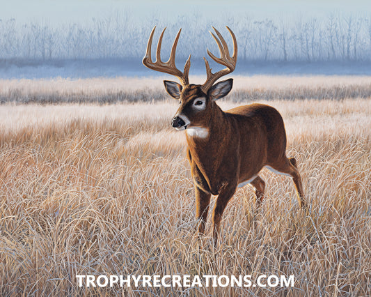 #5 Whitetail Deer