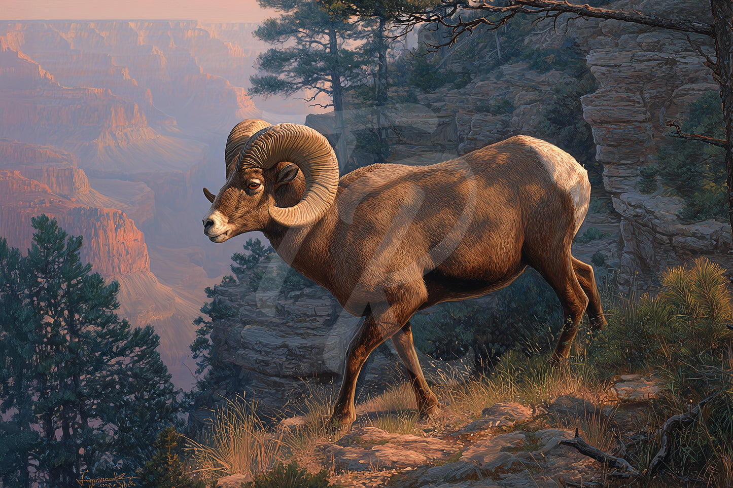 #7 Bighorn Sheep