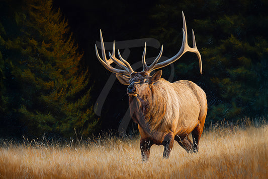 #7 Elk